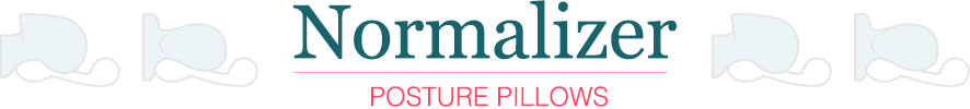 Normalizer Pillows